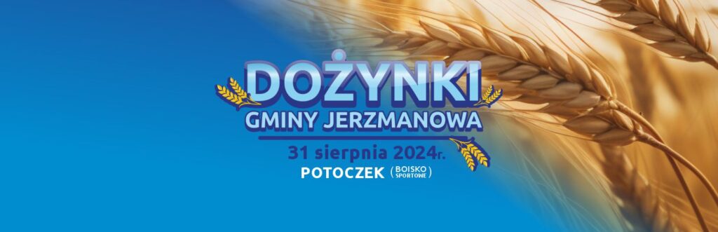 Zajęcia obrazek